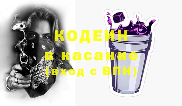 стафф Гатчина