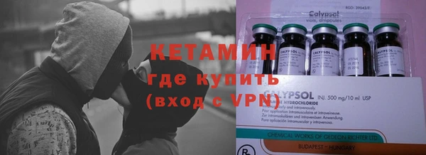 прущие грибы Гвардейск