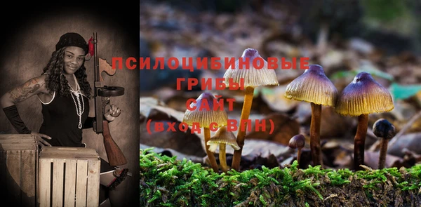 стаф Галич