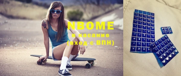 стафф Гатчина